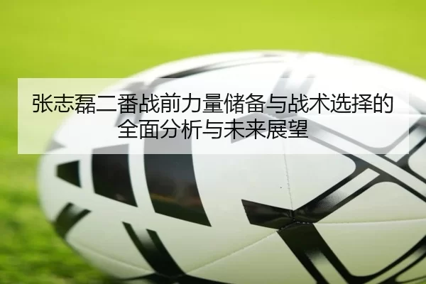 张志磊二番战前力量储备与战术选择的全面分析与未来展望